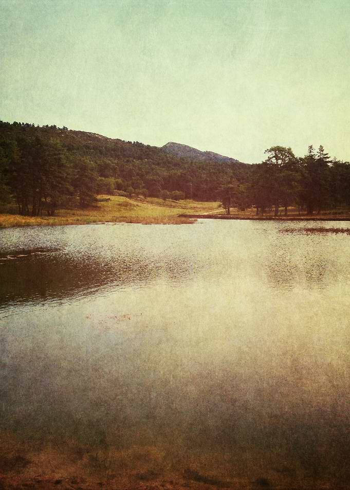 lake placid