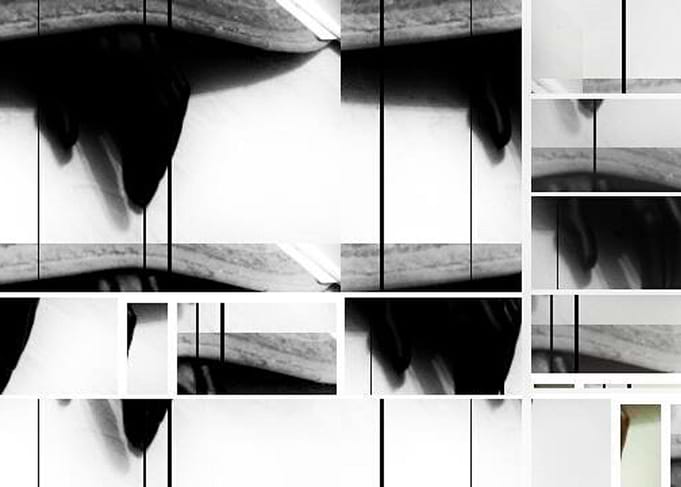 Appendages, colourless deviation.