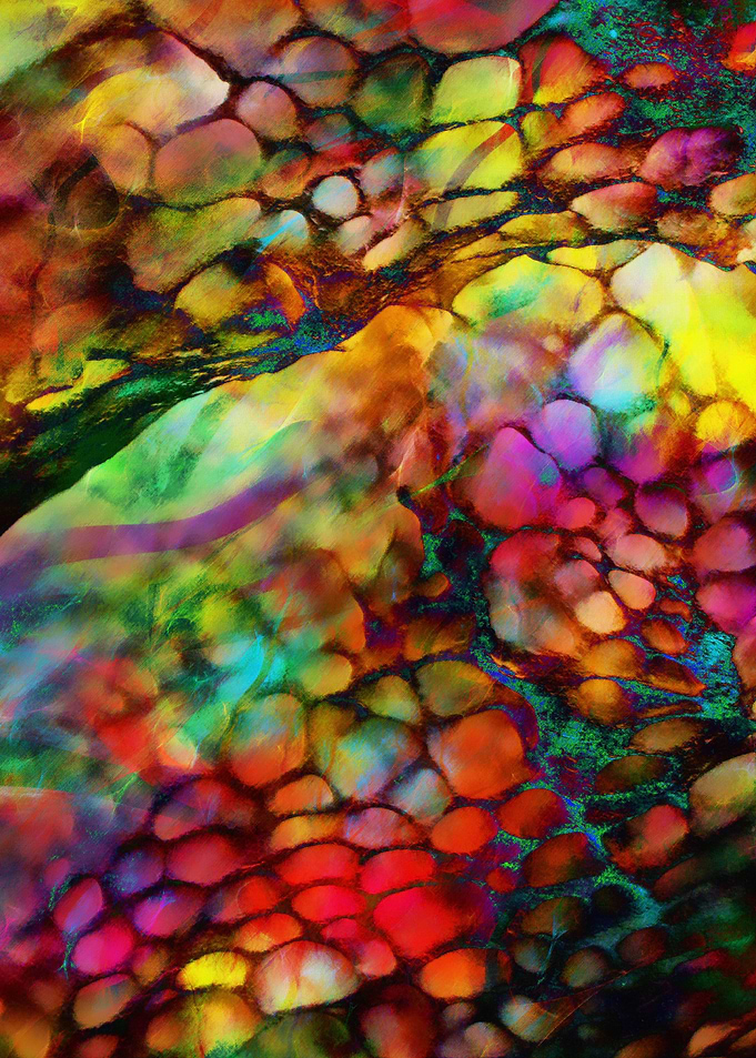 Colored Tafoni 2