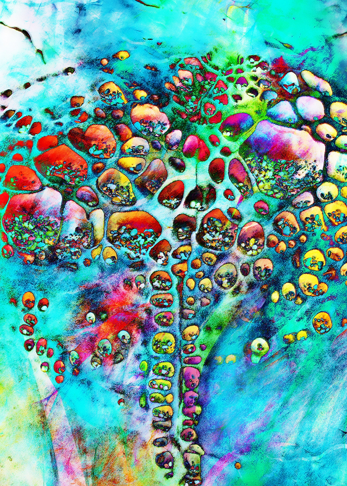 Colored Tafoni 3