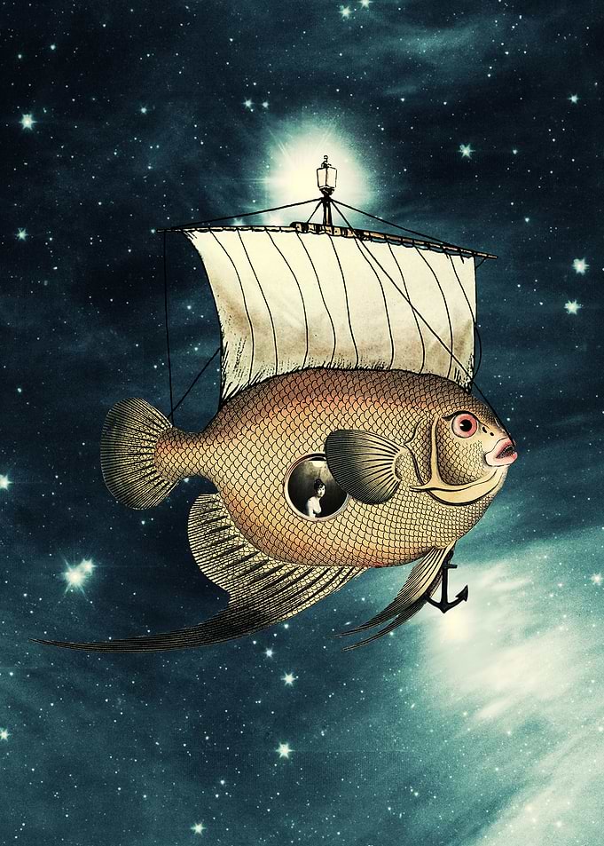 5 Weeks in A Yellow Fish