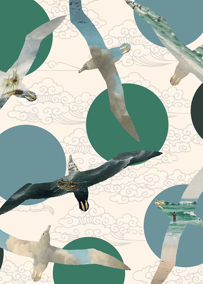 Seagull Polka