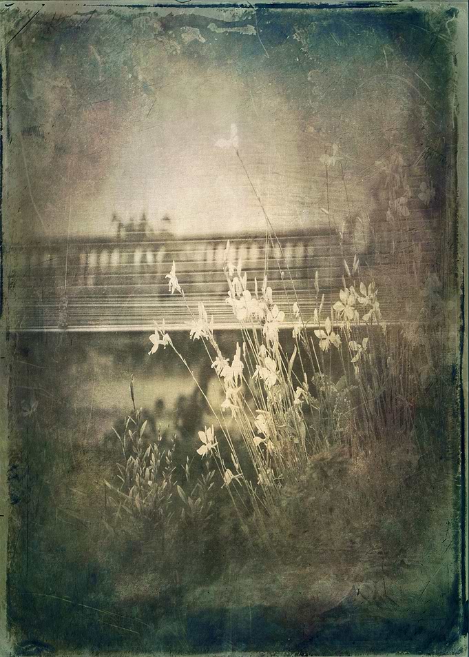 Vintage Garden