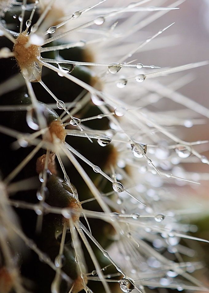 Catching Raindrops