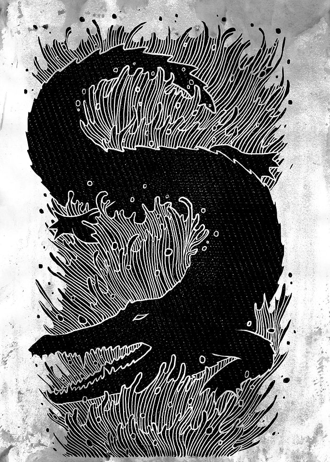 Black crocodile