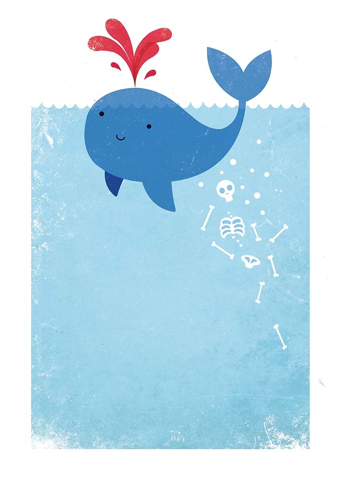 Killer Whale