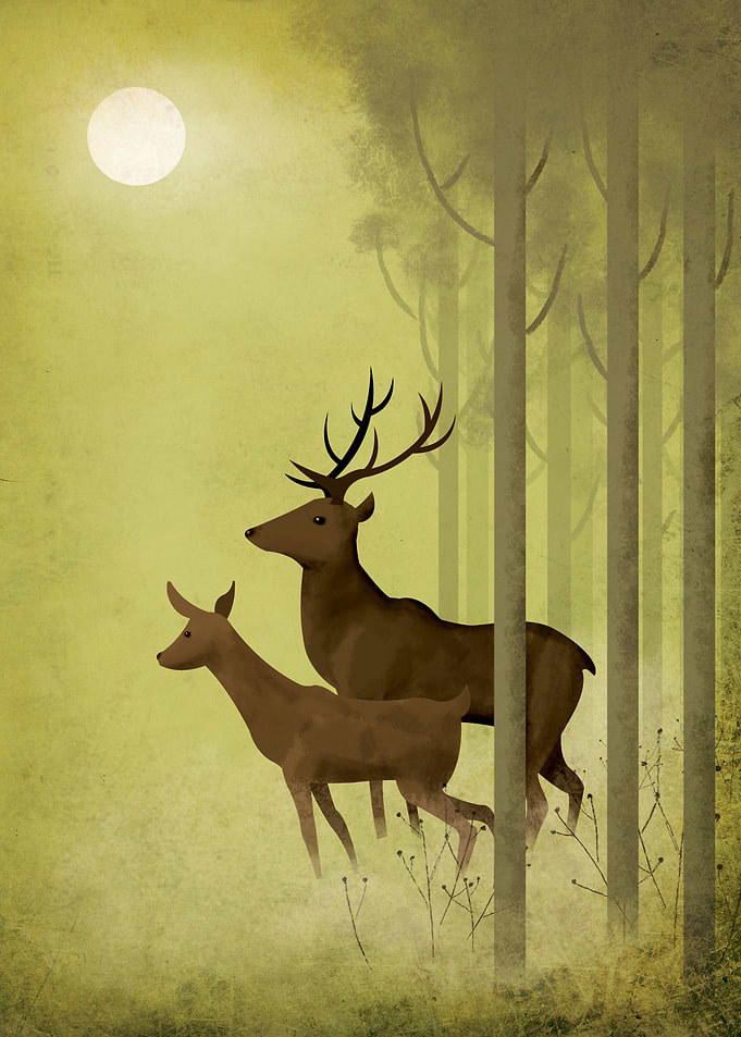 Forest Morning