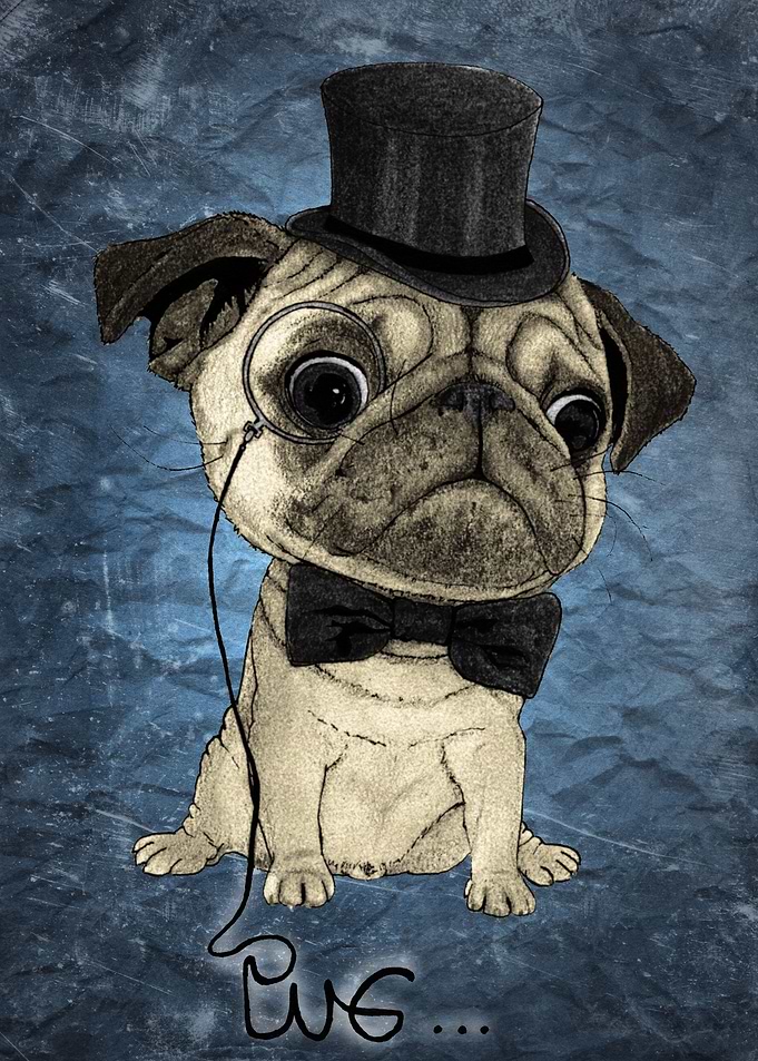 Pug; Gentle pug (color version)