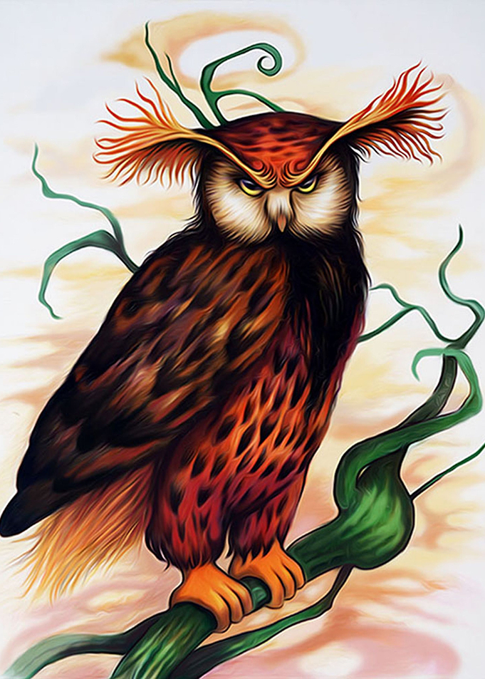 The Owl