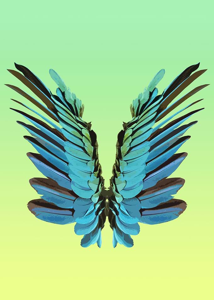 Macaw Wings