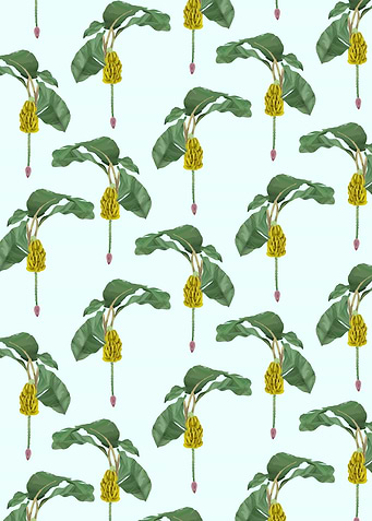 Bananica