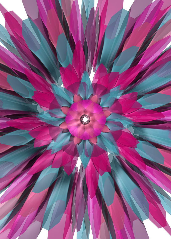 Bloom