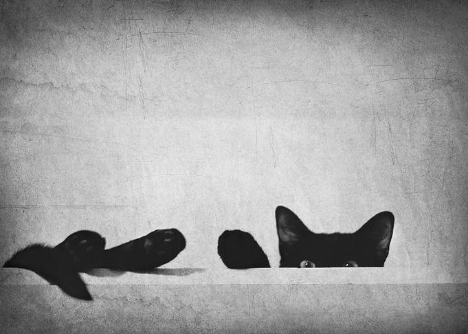 Relaxing