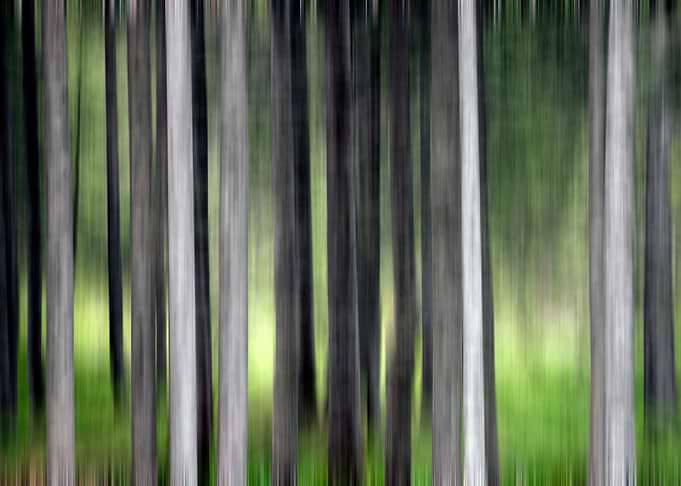 greens and whites