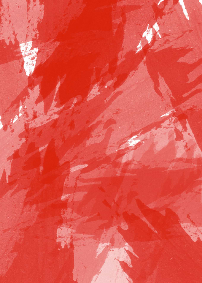 RED HOT CHILI PRINT