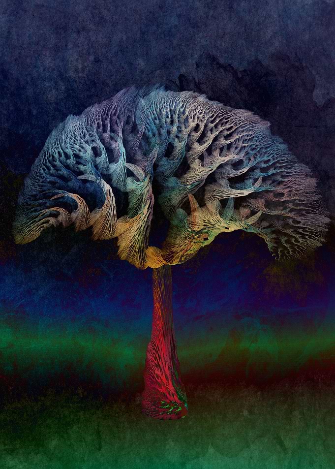 Miracle Tree