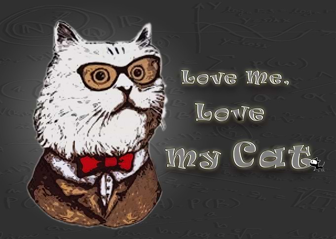 The more people I meet, the more I love my cat.