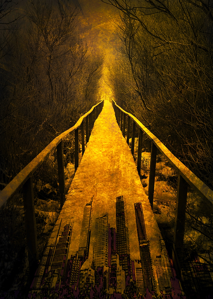 a path through forest