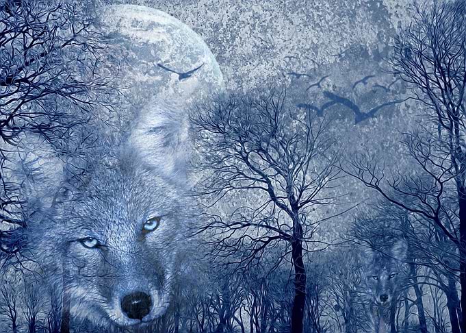 Wolf eyes
