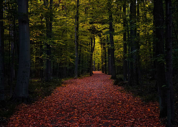 Autumn Colors