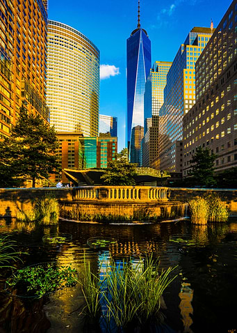 Sunset Colors Of New York