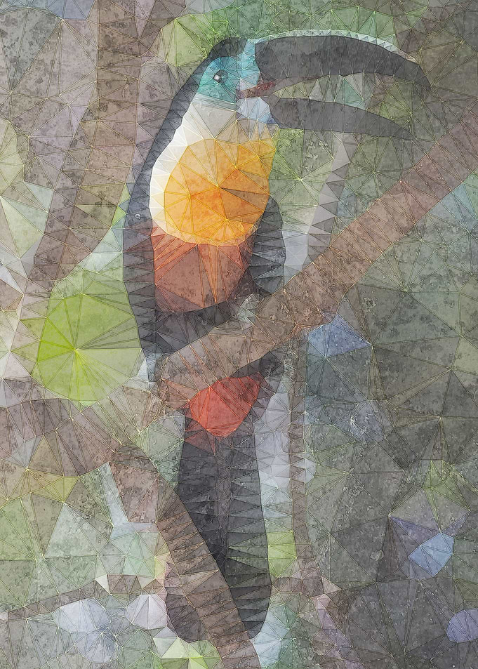 abstract toucan