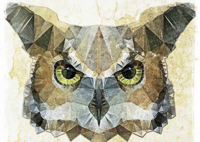 abstract owl