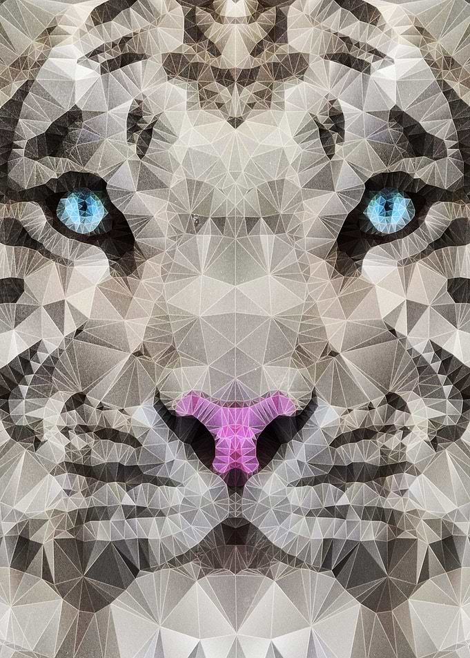 white tiger
