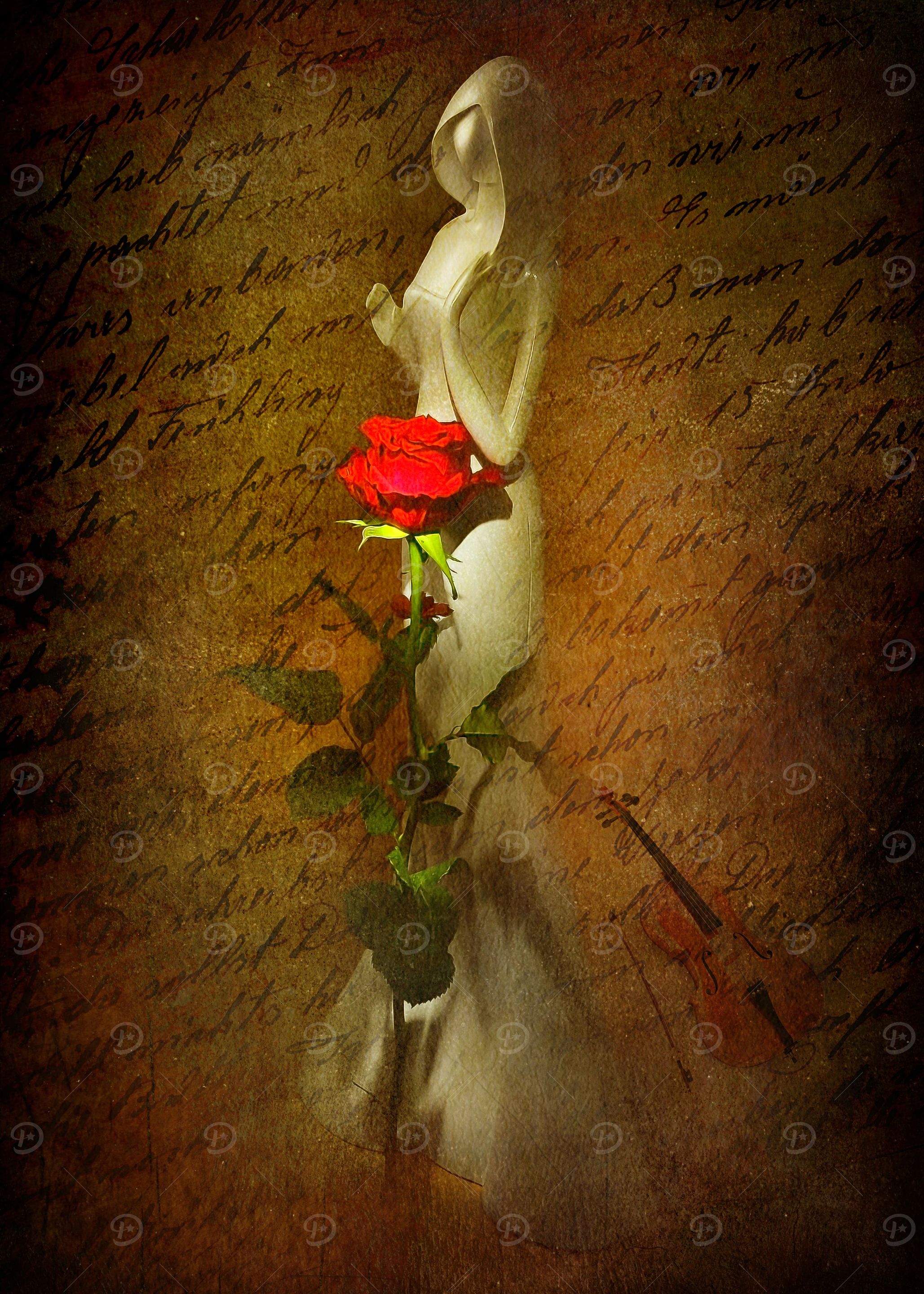 Love letter