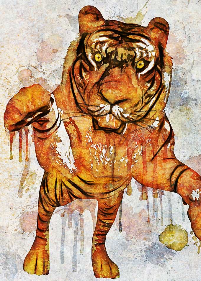 tiger splash!
