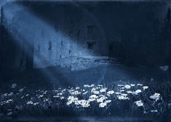 Moon Light