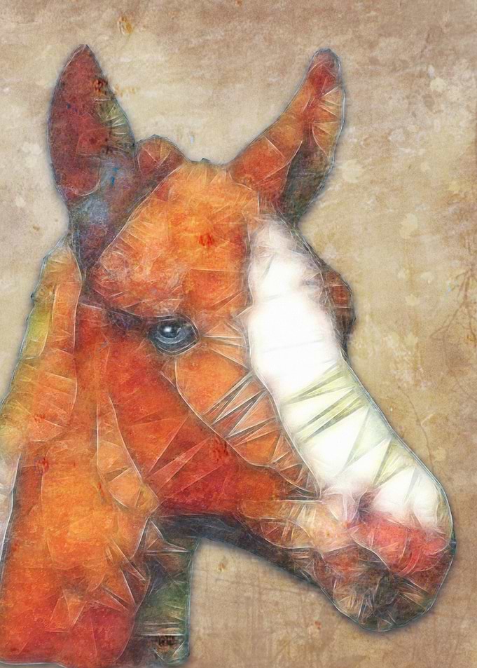 abstract foal