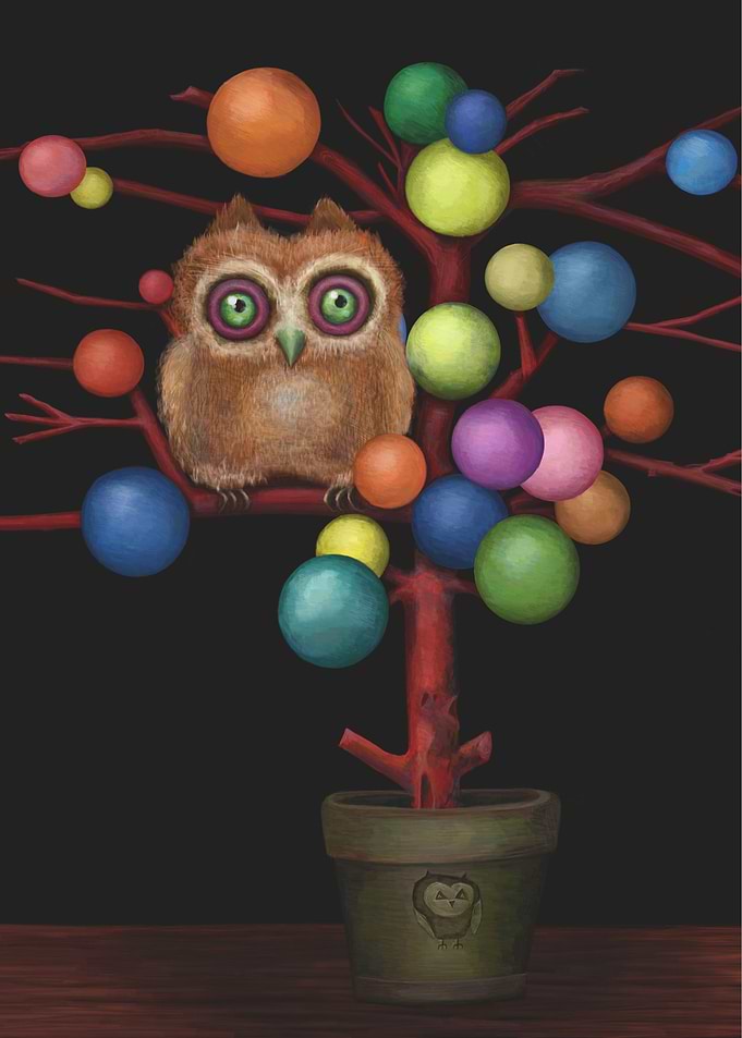 Owl