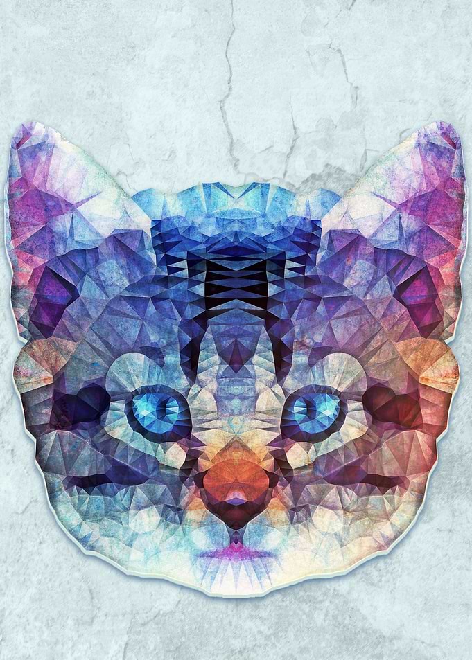 abstract cat