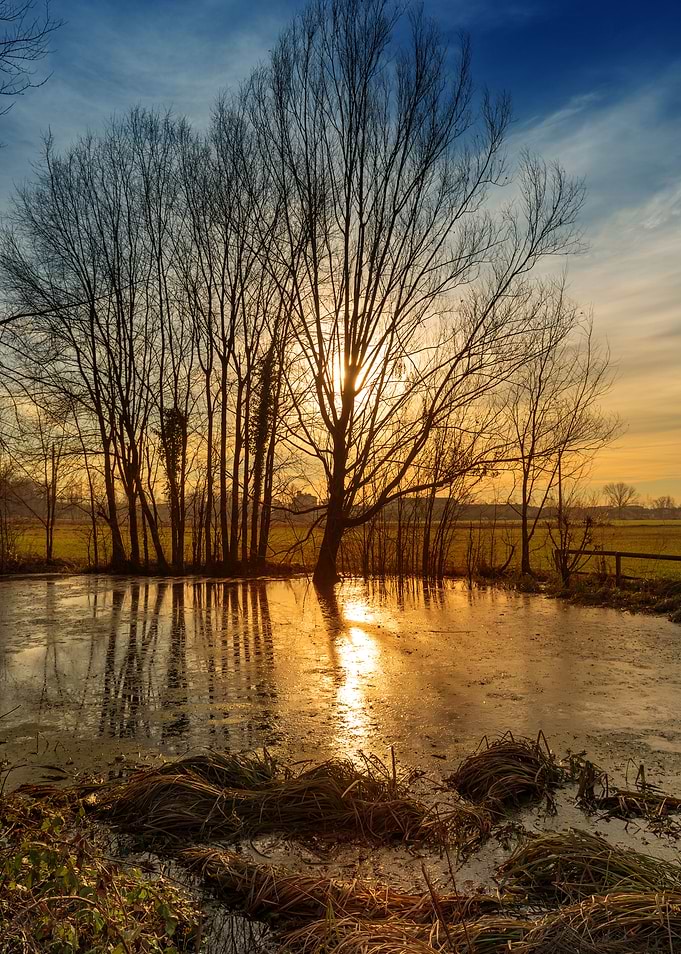 Sunset on pond