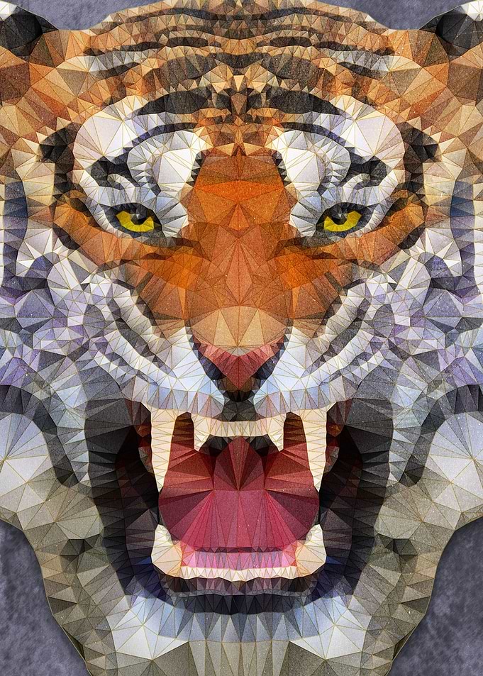 tiger roarr