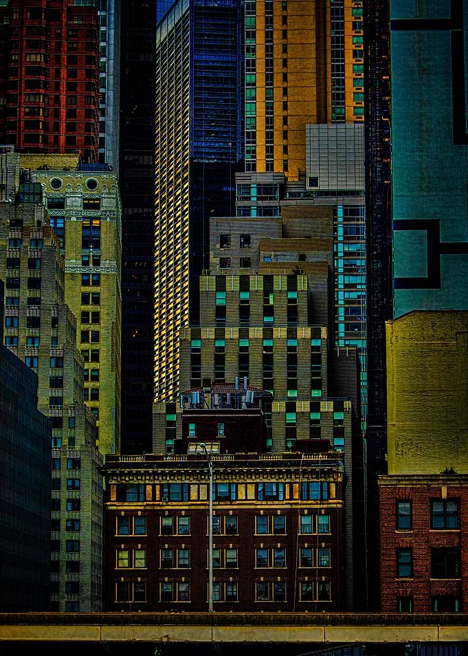 The Urban Jungle