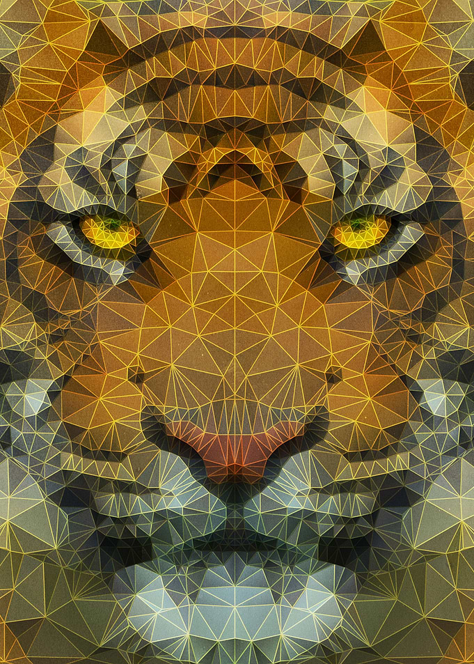 eyes of a tiger