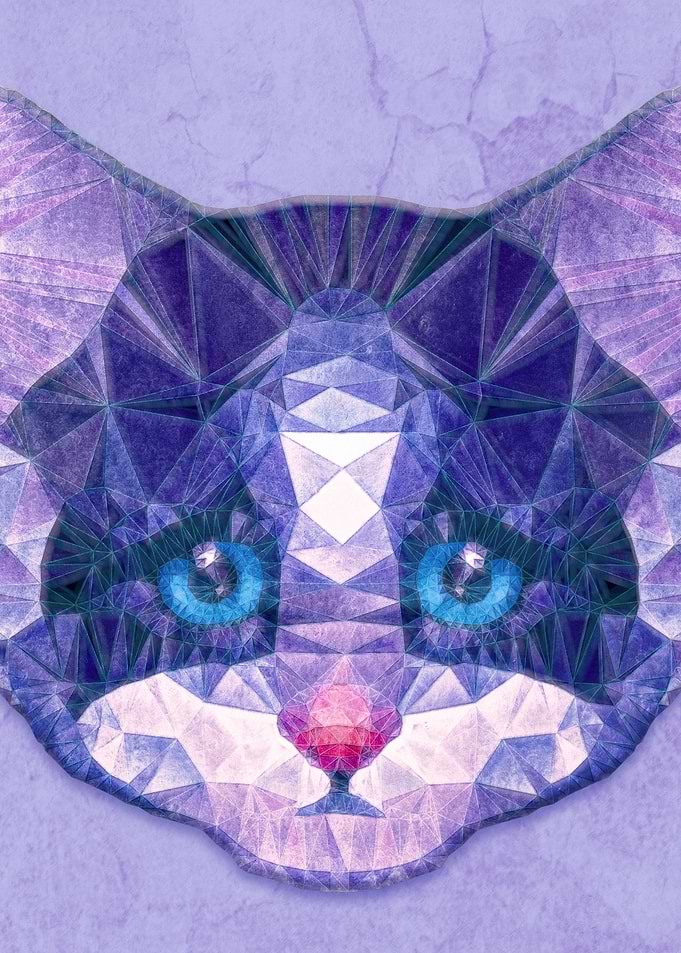 cute kitten