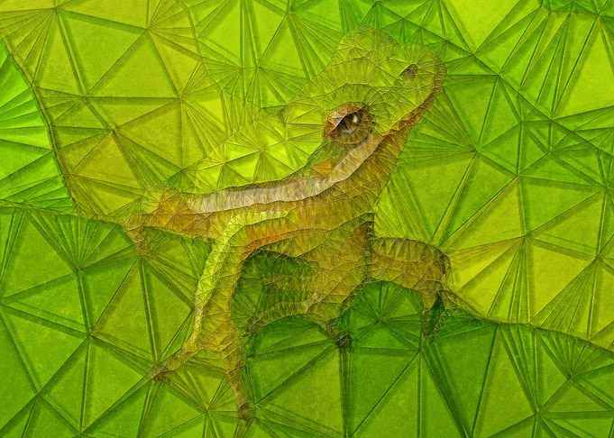 hidden frog