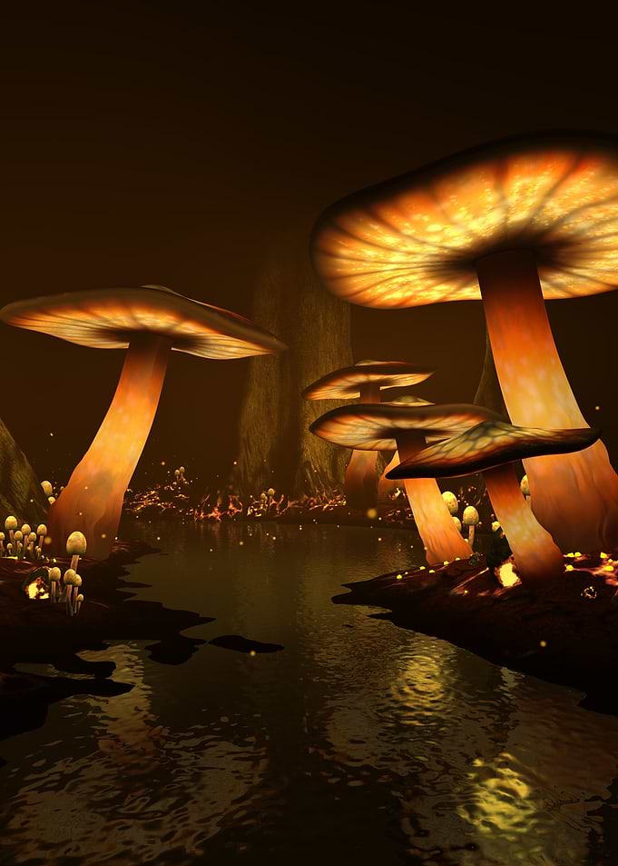 Enchanted Forest - Meltdown