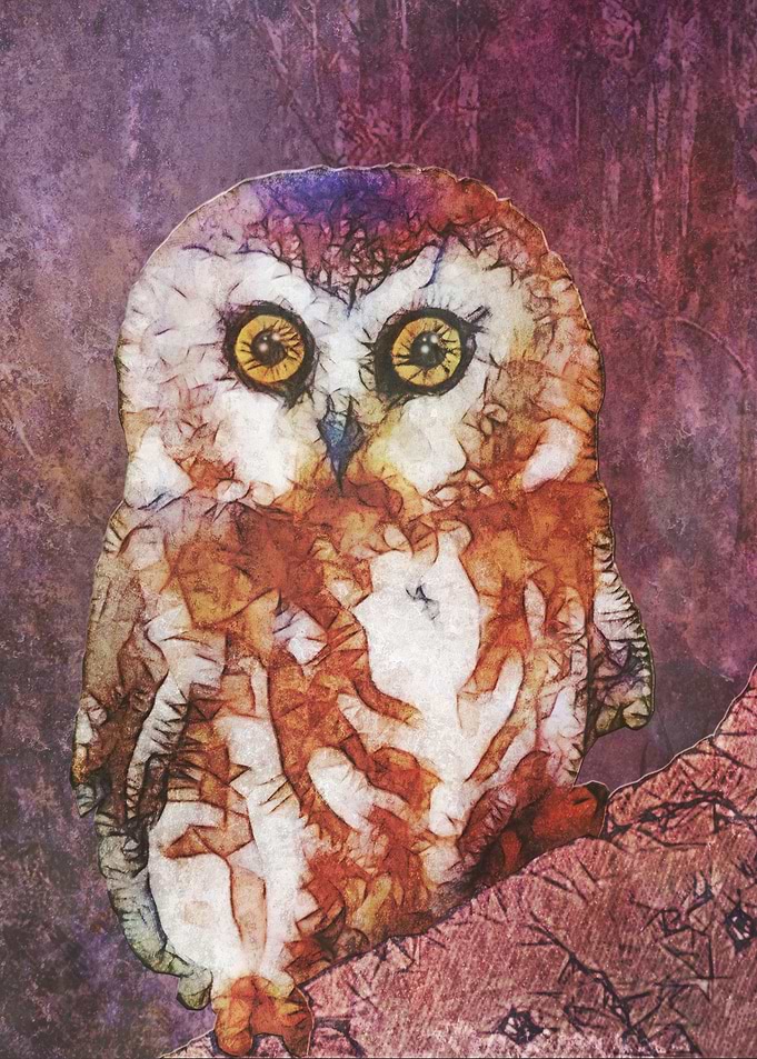 abstract owl
