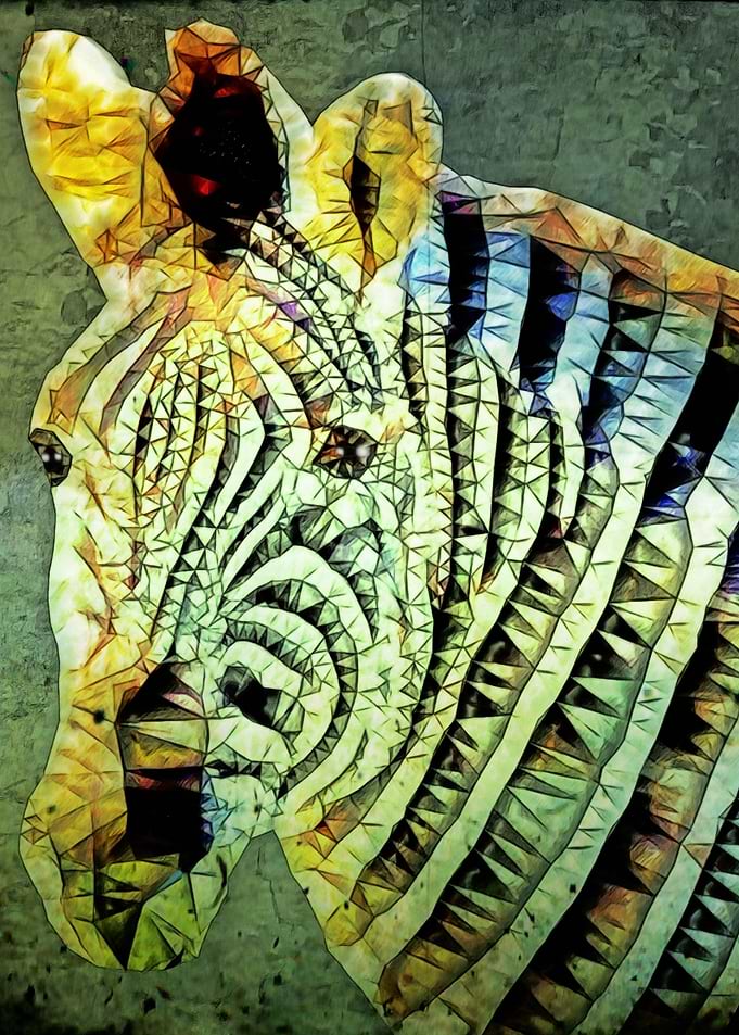 abstract zebra