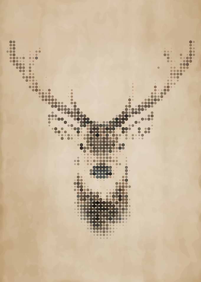 Geometric Deer Portrait