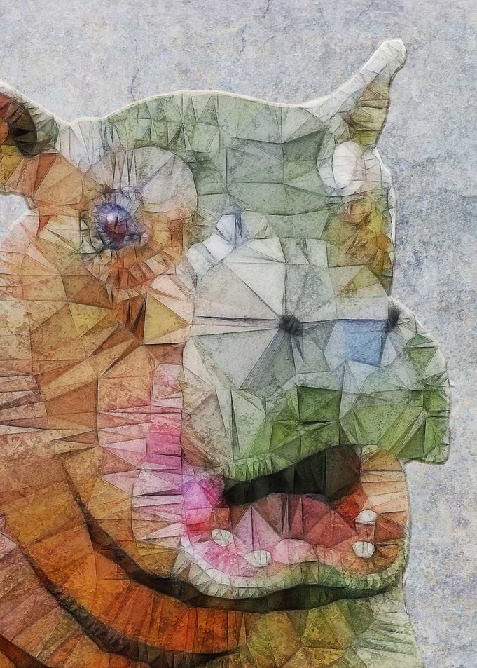 abstract hippo