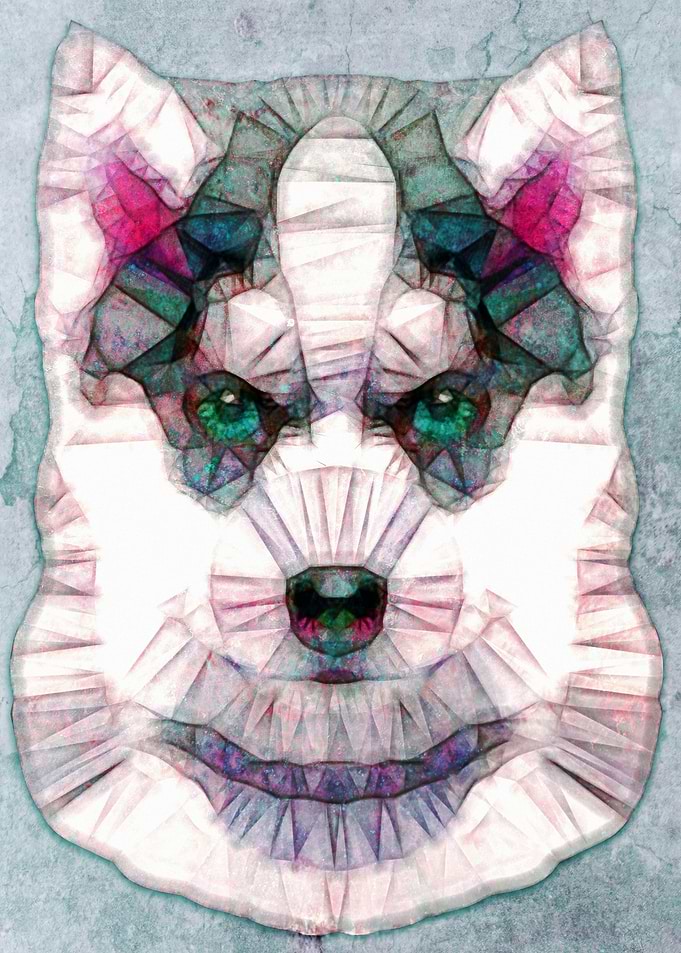 abstract husky puppy