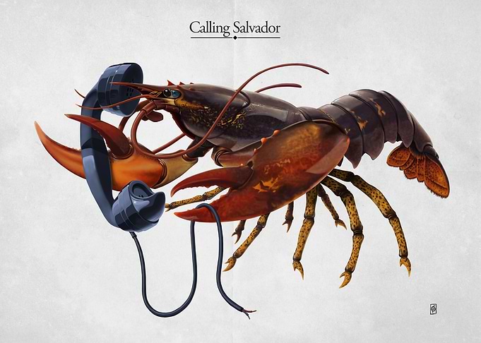 Calling Salvador