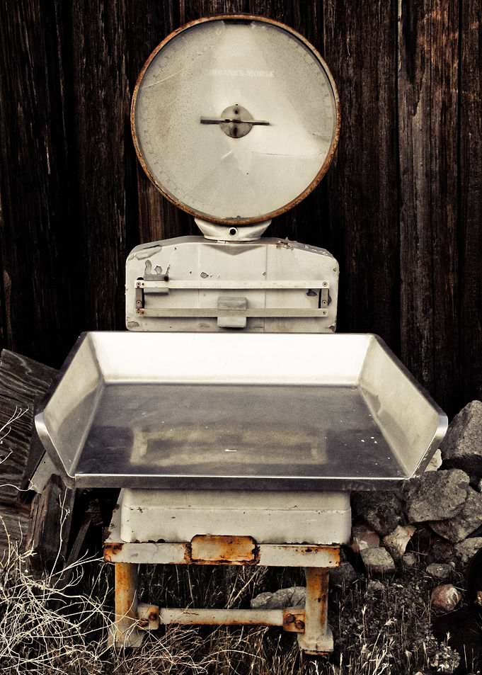 Scales of Time