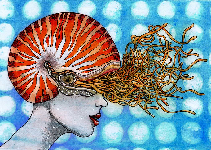 Voyage of a perfect mind.II.