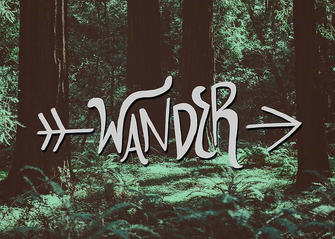 Wander